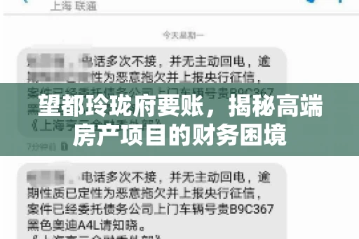 望都玲珑府要账,揭秘高端房产项目的财务困境 望都玲珑府要账,揭秘高端房产项目的财务困境