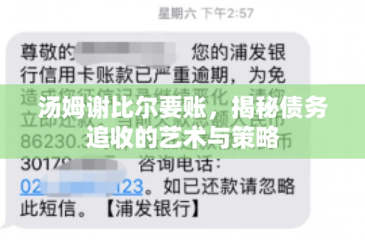 汤姆谢比尔要账，揭秘债务追收的艺术与策略