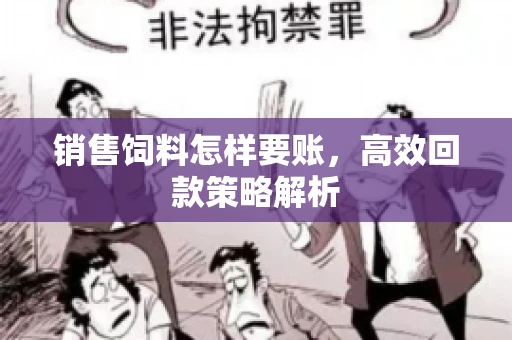 销售饲料怎样要账，高效回款策略解析