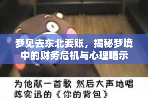 梦见去东北要账,揭秘梦境中的财务危机与心理暗示 梦见去东北要账,揭秘梦境中的财务危机与心理暗示