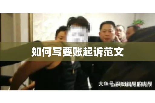 如何写要账起诉范文