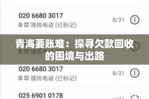 青海要账难：探寻欠款回收的困境与出路