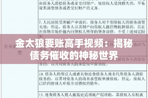金太狼要账高手视频：揭秘债务催收的神秘世界