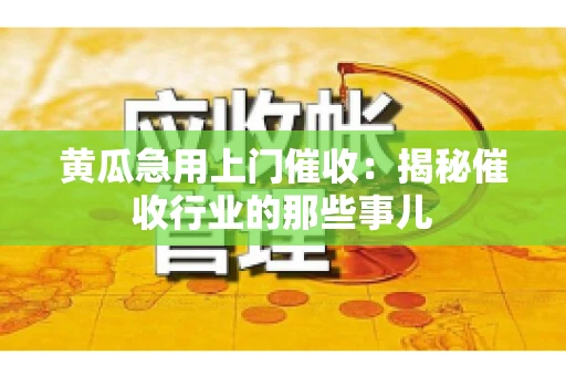 黄瓜急用上门催收：揭秘催收行业的那些事儿