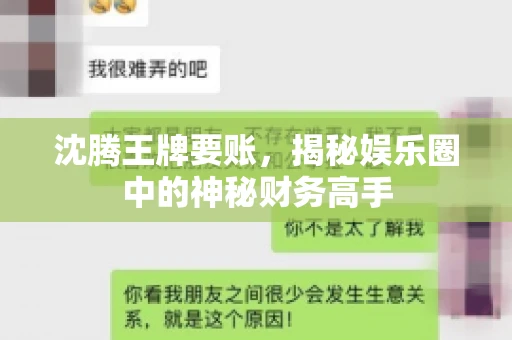沈腾王牌要账,揭秘娱乐圈中的神秘财务高手 沈腾王牌要账,揭秘娱乐圈中的神秘财务高手